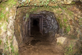 Ancien tunnel de la mine, Karangahake Gorge