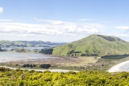 Panoramique d'Otago Peninsula