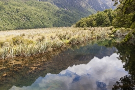 Mirror Lakes, Te Anau