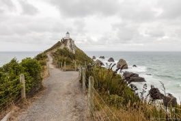 Nugget Point, The Catlins