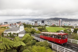 Vue sur la ville et son Cable Car, depuis les Wellington Botanic Gardens