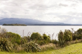 Panoramique du lac Rotoaira