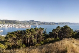 Panoramique de Wellington, vue du mont Victoria