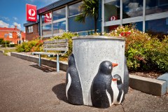 La ville de Pinguin et ses poubelles