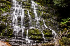 Nelson Falls, Franklin-Gordon National Park