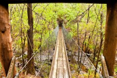 Pont suspendu, Beedelup National Park