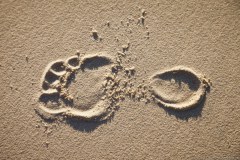 Le pied d'Adèle sur la plage de Point Lookout