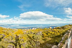 Panoramique du haut du mont Wellington, vue sur la baie d'Hobart