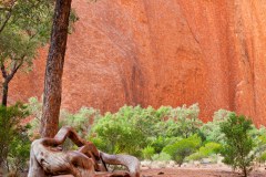 Kantju Gorge, nord d'Uluru