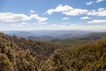 Hartz National Park, Tasmanie