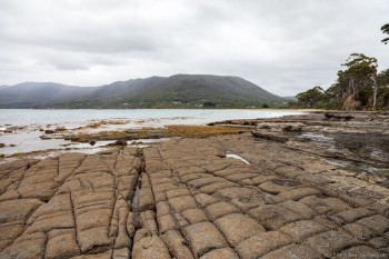 Tessellated pavements, Péninsule tasmane