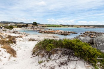 The gardens, Bay of Fires