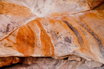 Peinture rupestre, Flinders Ranges National Park