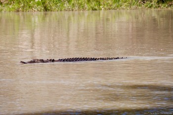 East Alligator River, Kakadu National Park