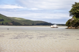 Hoopers Inlet, Otago Peninsula