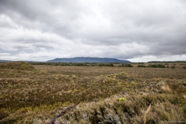 Vue sur Tongariro National Park depuis The Mounds