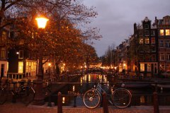 img_2009