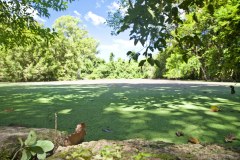 banteay-kdey2