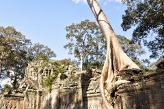 preah-khan5