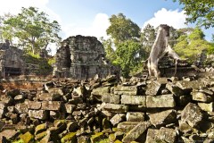 preah-khan6