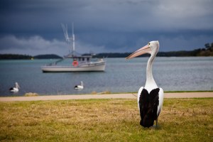 Côte sud du New South Wales