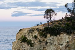 Mimosa Rocks National Park