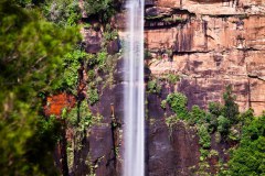 Fitzroy Falls