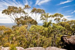 Pigeon House Mountain