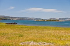 Tamar River, Hillwood