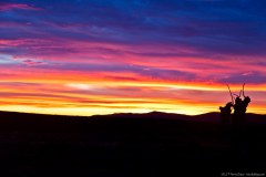 Coucher de soleil sur les Flinders Ranges