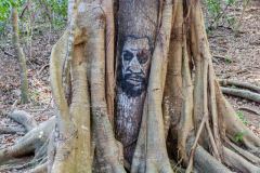 Gravure, Bourail, Grande-Terre