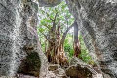Intérieur de la grotte de Koumac, Grande-Terre