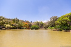 Lac du parc forestier, Nouméa