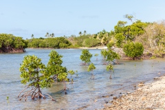 Mangrove Bay, Boat Pass, Grande-Terre