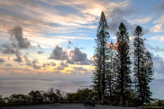 Pins colonaires, Ouen Toro, Nouméa