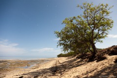 Plage de Poé de nuit, Grande-Terre