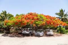 Relais de Poingam, Grande-Terre
