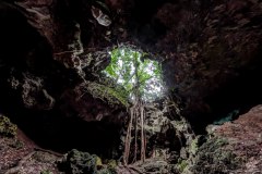 Ombre et lumière, grotte de la Reine Hortense, île des Pins