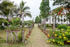 Jardin de Vao, île des Pins