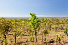 Vue sur le Kakadu National Park