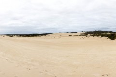 Panoramique de Little Sahara, Kangaroo Island