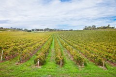 Etat du South Australia
