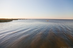 Narrung, entre Lac Albert et Lac Alexandrina