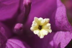 img_8578_1