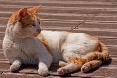 img_8876_1