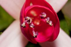 img_9588_1