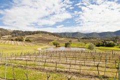 Vignobles de la Low Hunter Valley