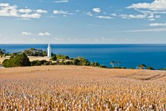 La côte nord de la Tasmanie