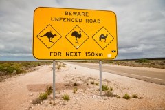 Nullarbor Plain