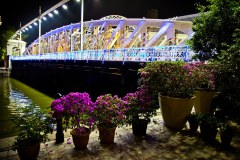 Pont sur la Singapore River